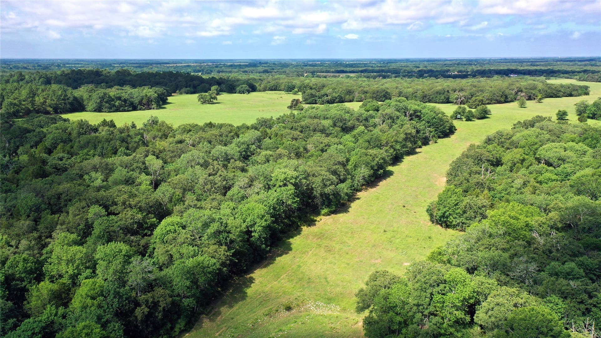 255.69 acres in Navarro County - photo 8