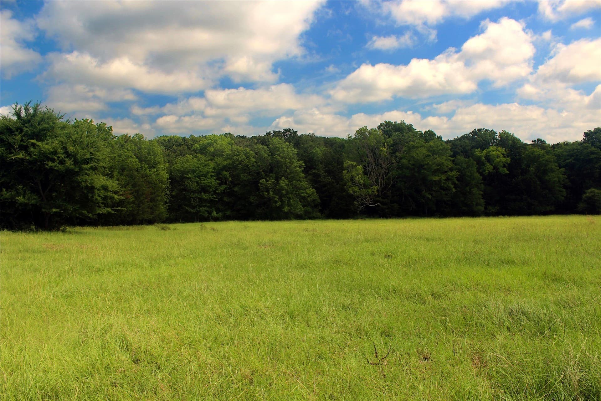 255.69 acres in Navarro County - photo 21