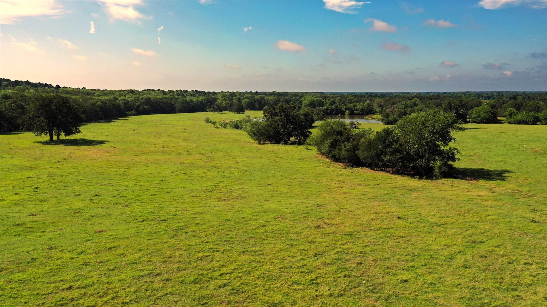 255.69 acres in Navarro County - photo 4