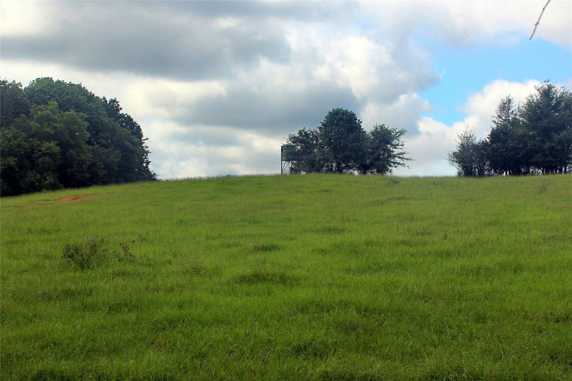 255.69 acres in Navarro County - photo 7
