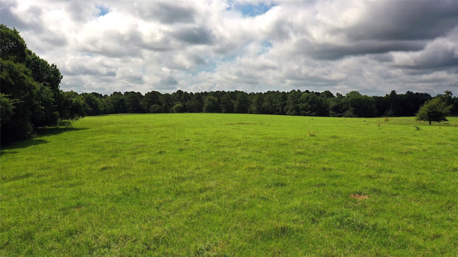 255.69 acres in Navarro County - photo 2