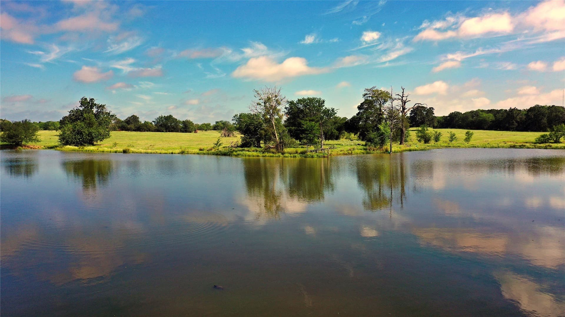 255.69 acres in Navarro County - photo 14