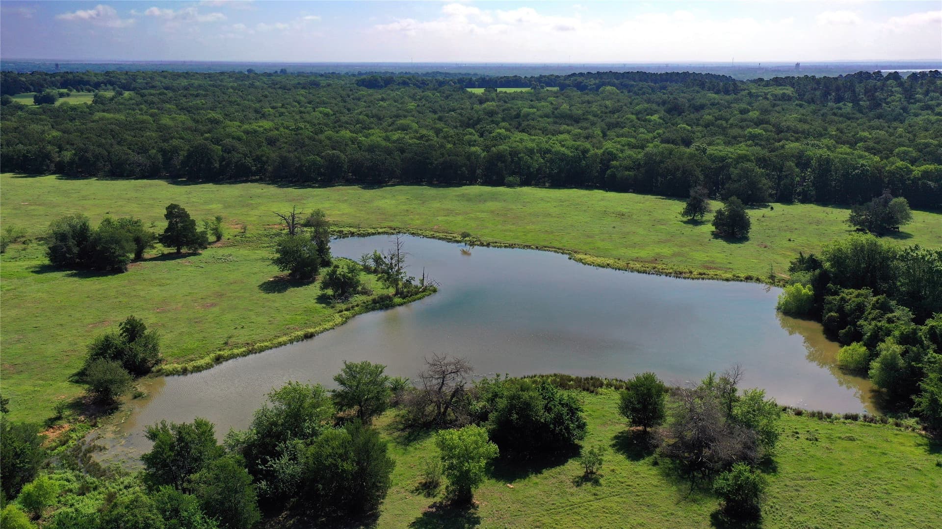 255.69 acres in Navarro County - photo 15