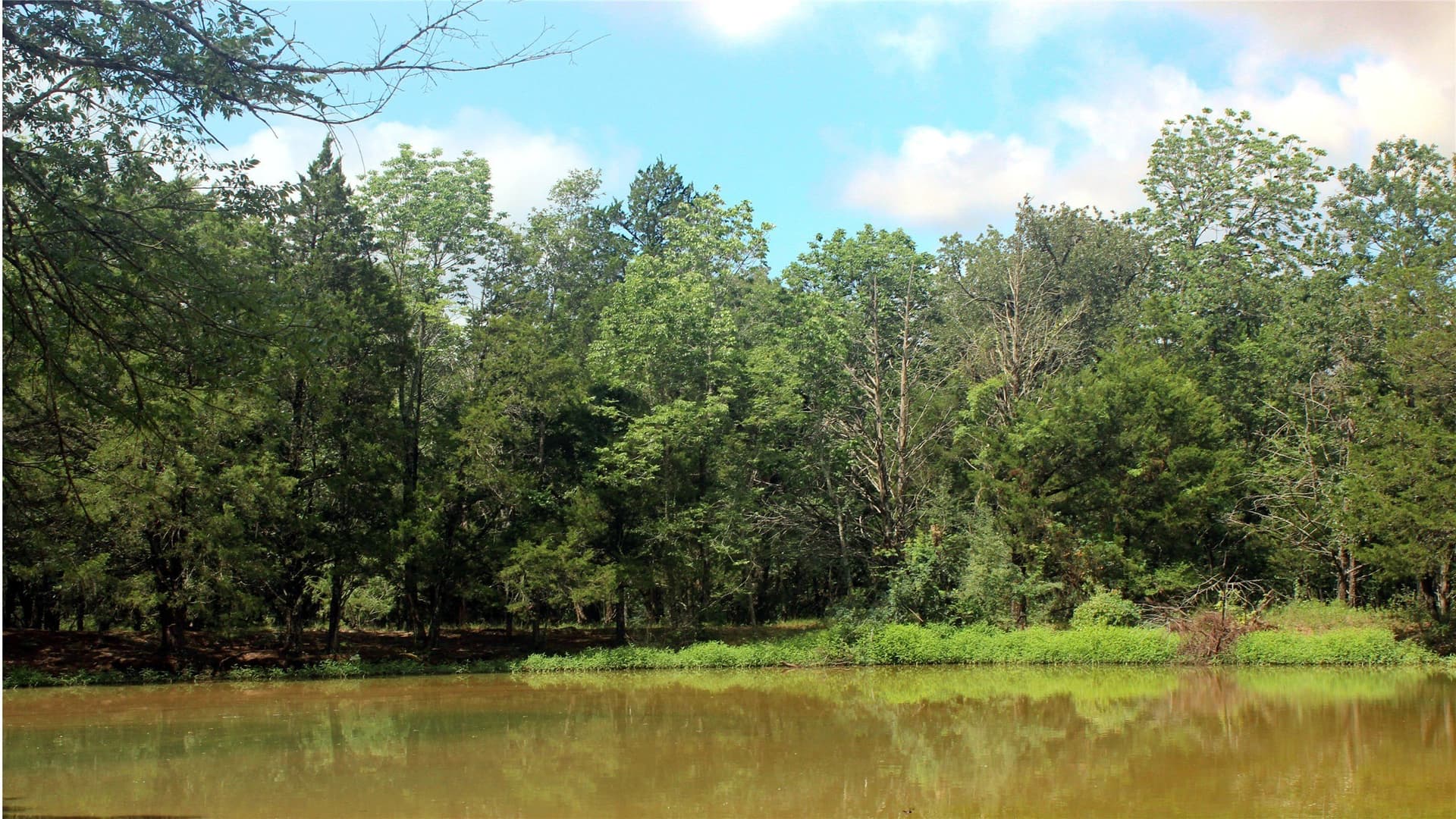 255.69 acres in Navarro County - photo 12