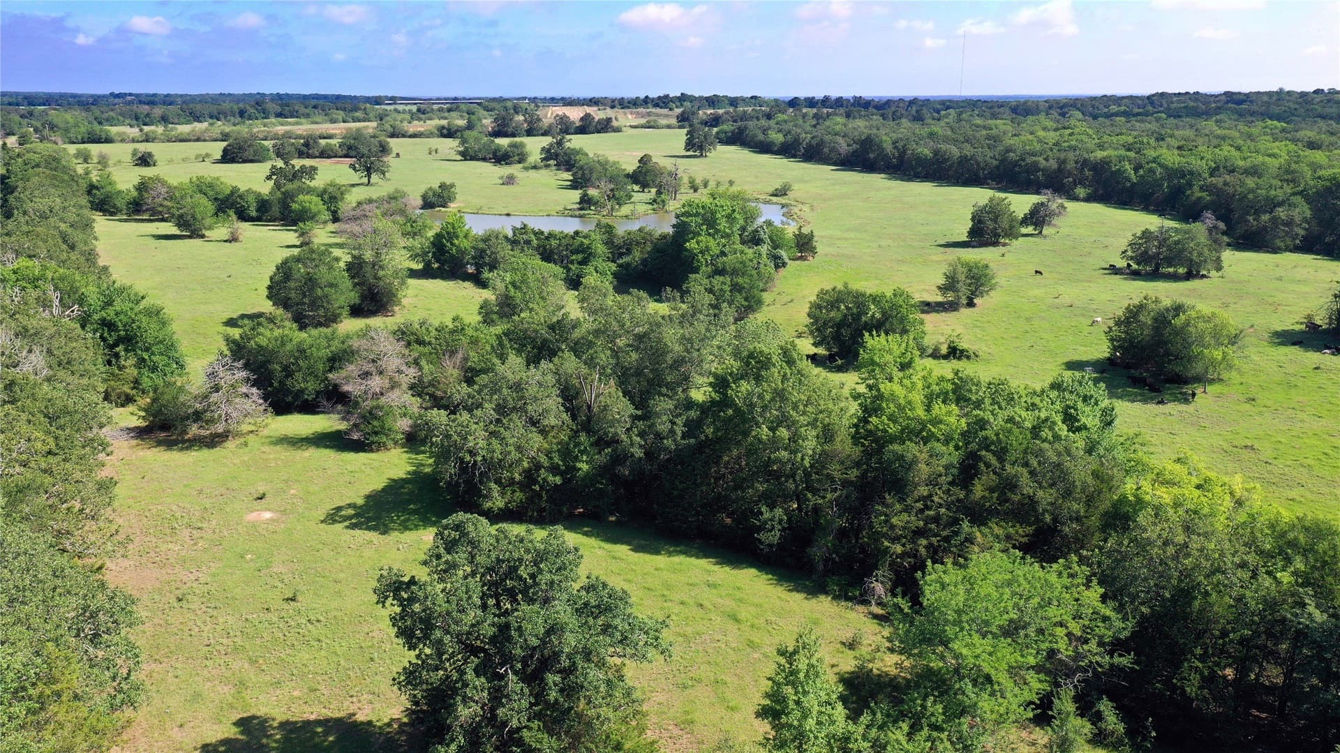 255.69 acres in Navarro County - photo 19