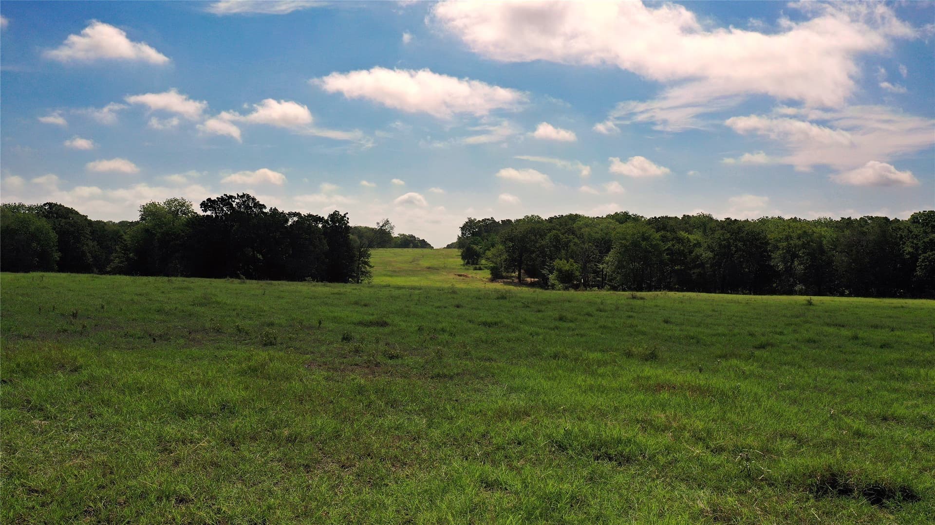 255.69 acres in Navarro County - photo 18