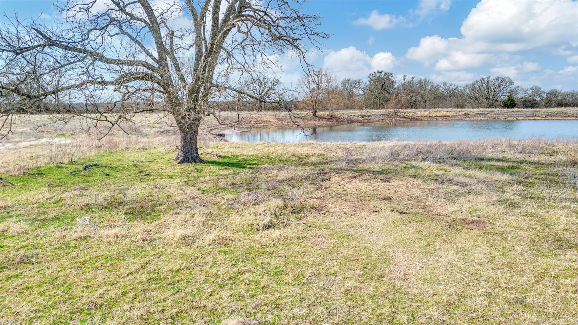 54 acres in Collin County featured view