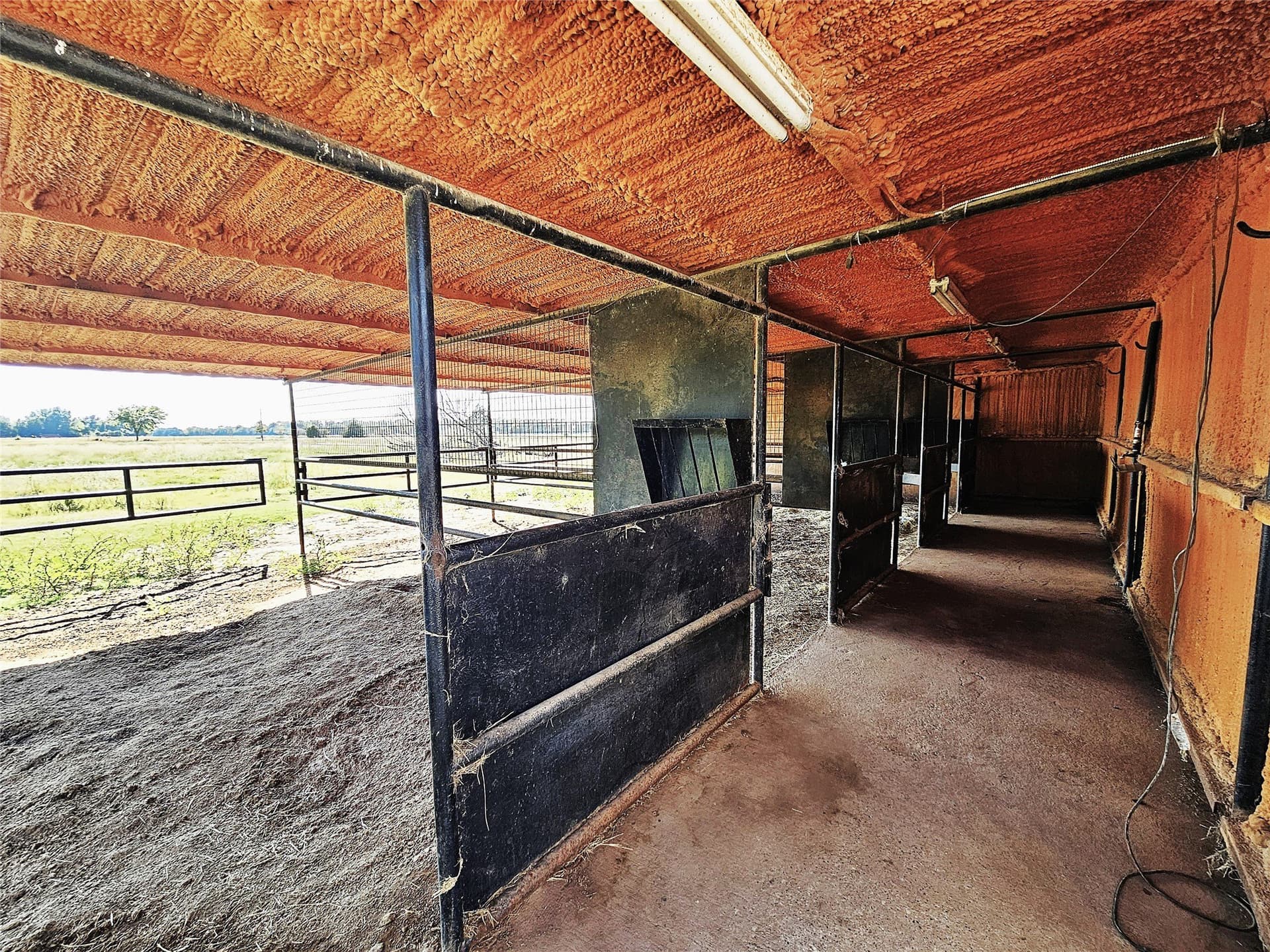 58.84 acres in Limestone County - photo 8