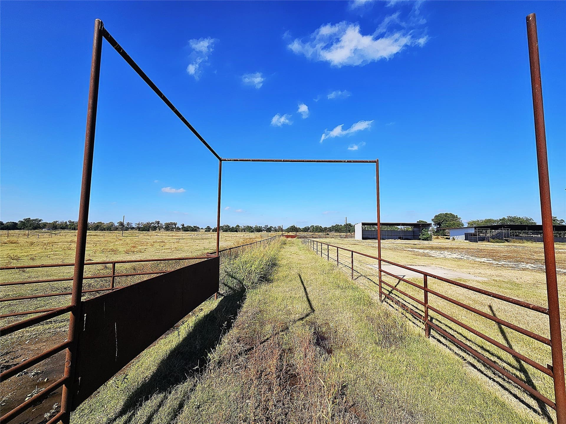 58.84 acres in Limestone County - photo 36
