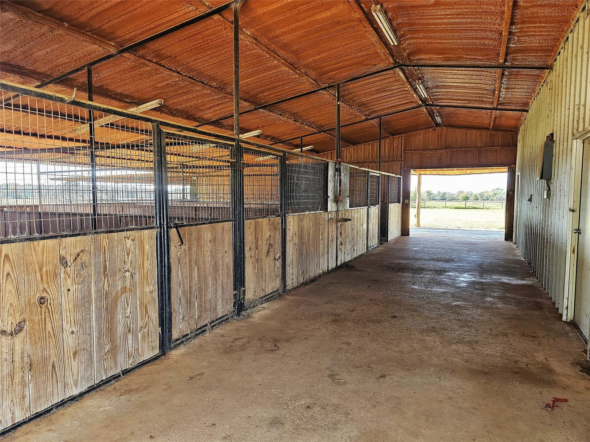 58.84 acres in Limestone County - photo 13