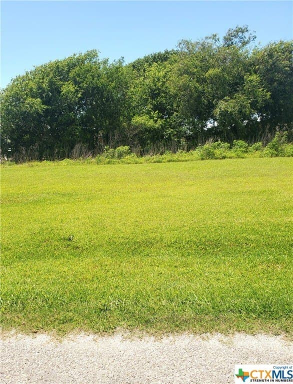 0.12 acres in Calhoun County gallery image 4