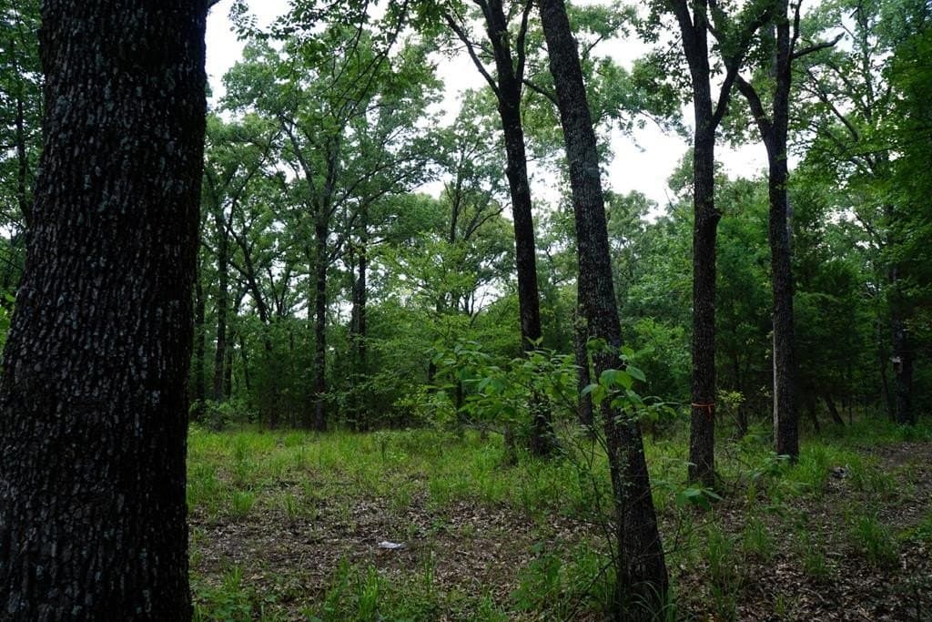 5.22 acres in Henderson County - photo 6