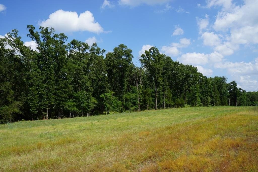 5.22 acres in Henderson County - photo 24