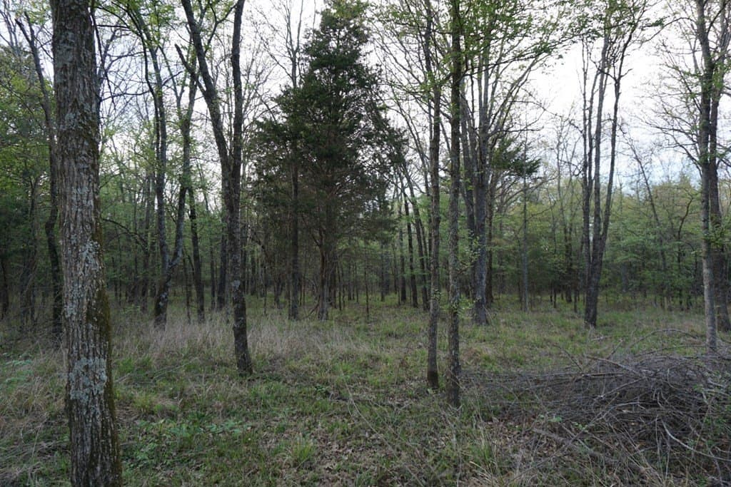 5.22 acres in Henderson County - photo 32