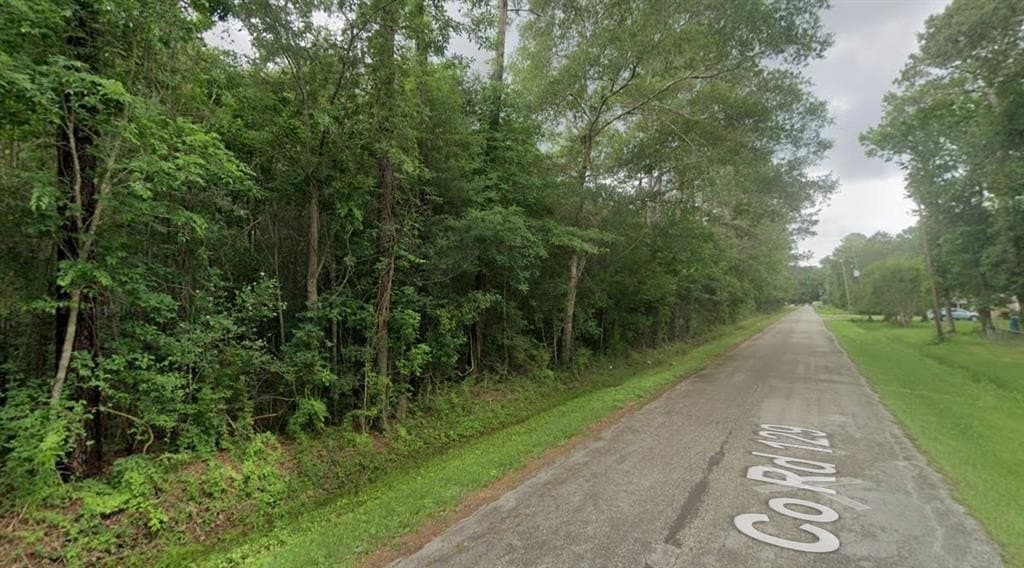 2.5 acres in Liberty County gallery image 4