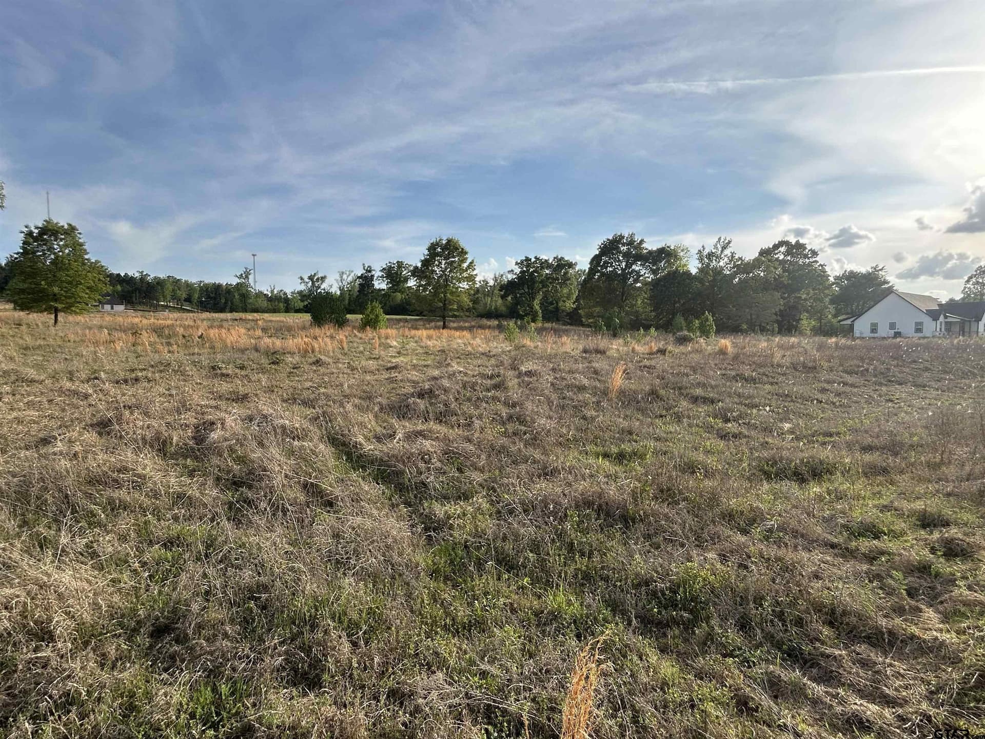 3.03 acres in Smith County gallery image 3