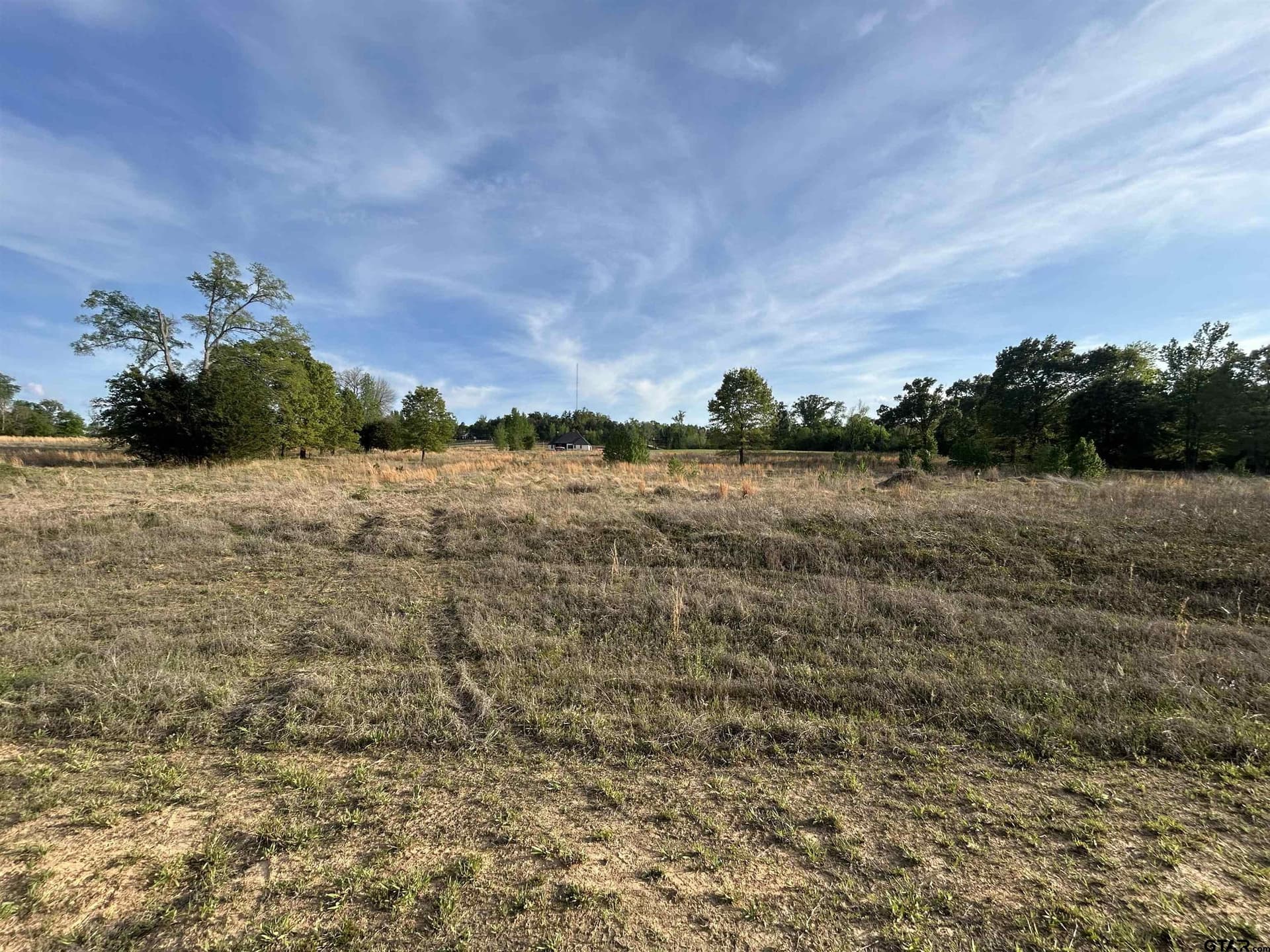 3.03 acres in Smith County gallery image 2