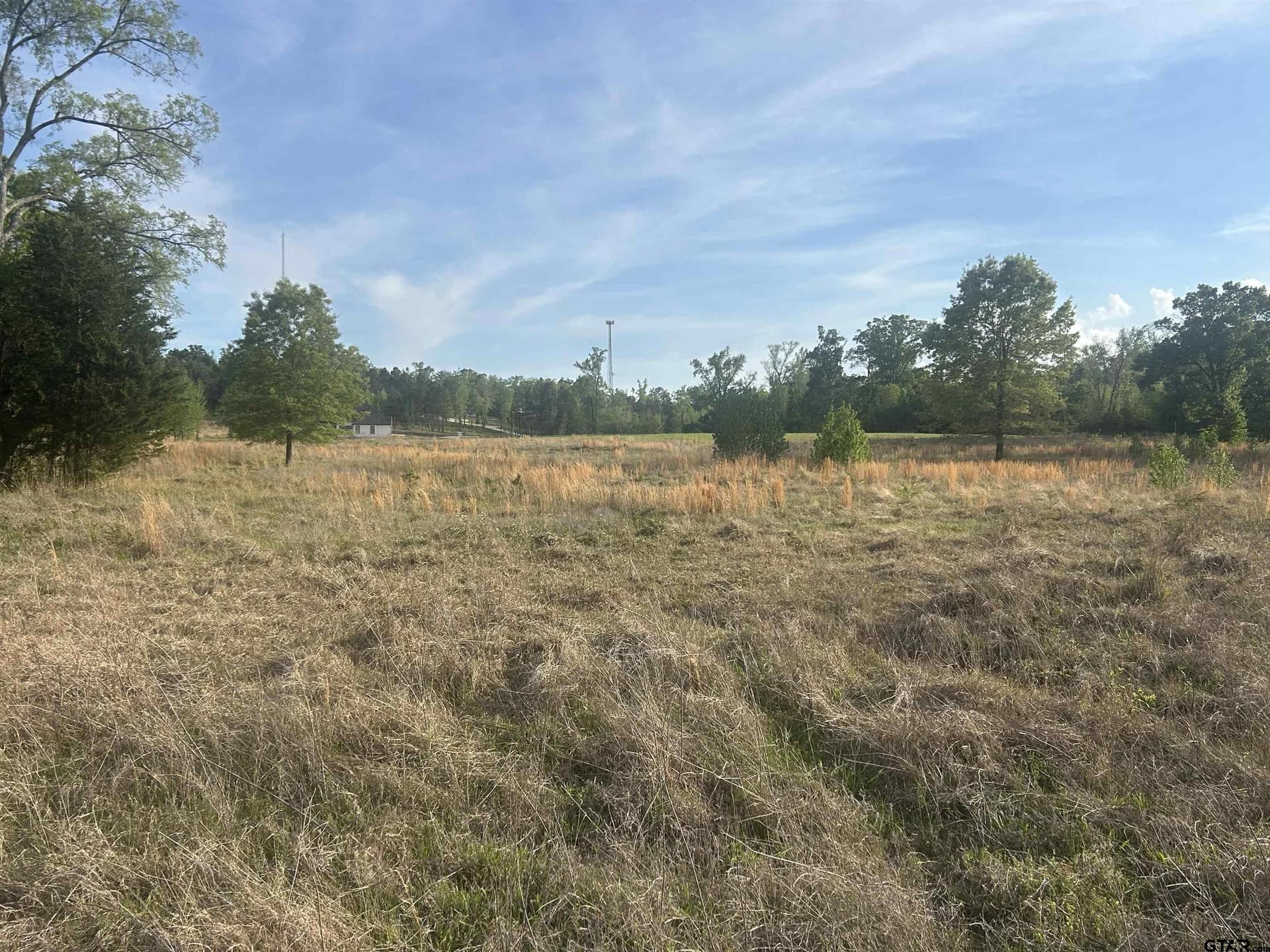 3.03 acres in Smith County gallery image 4