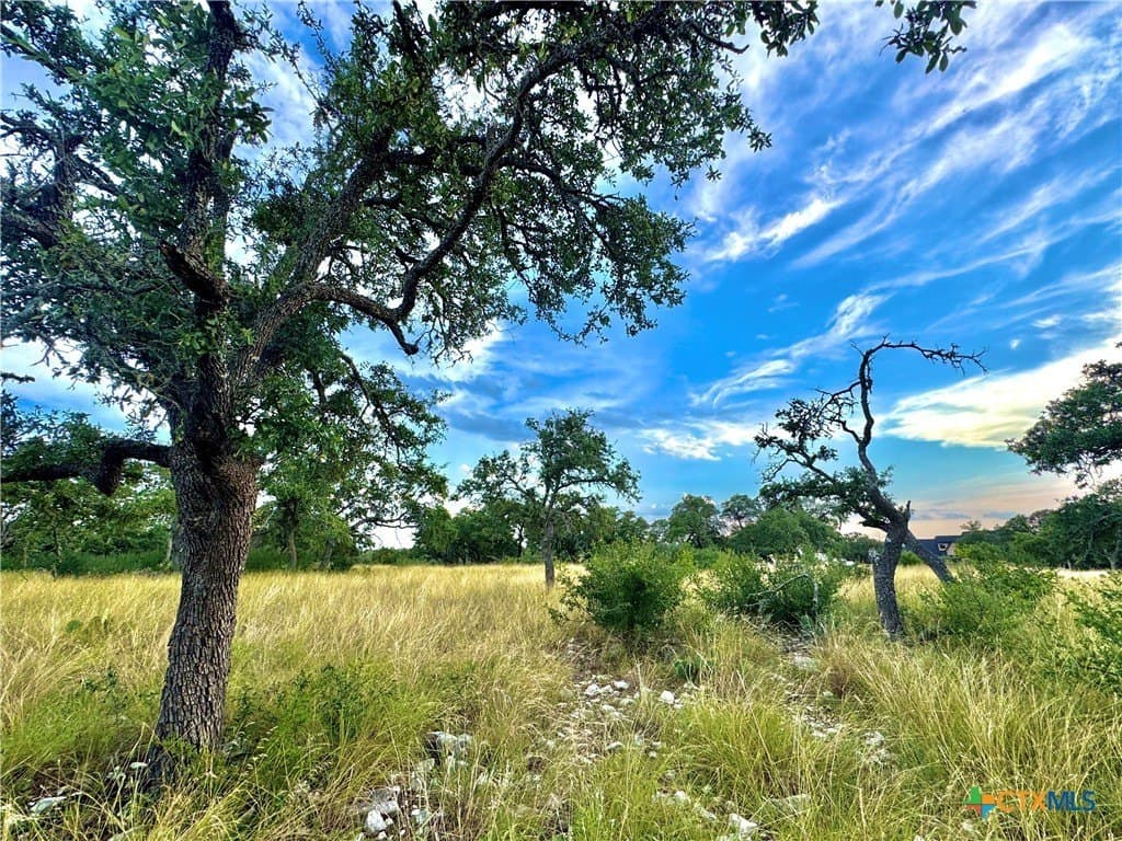 4.13 acres in Gillespie County gallery image 2
