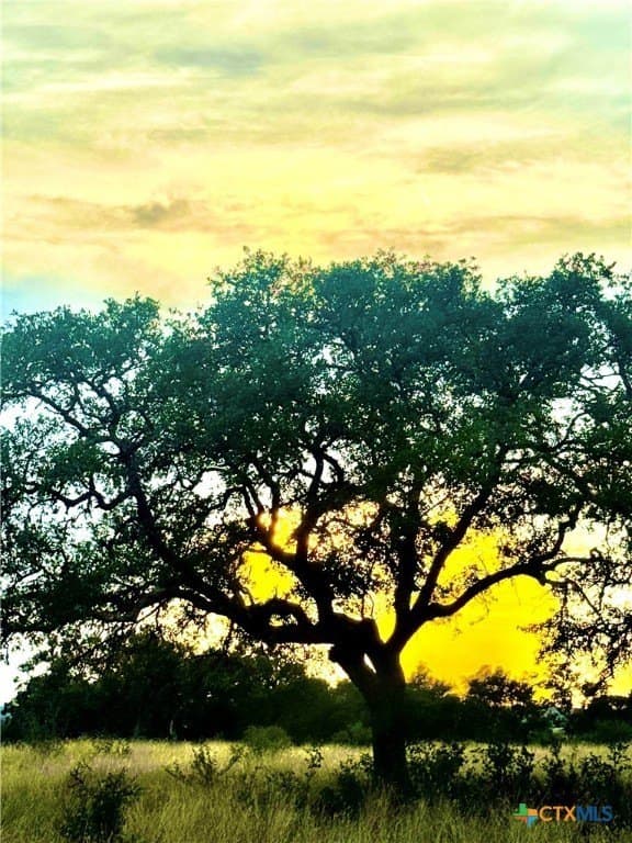 4.13 acres in Gillespie County featured view