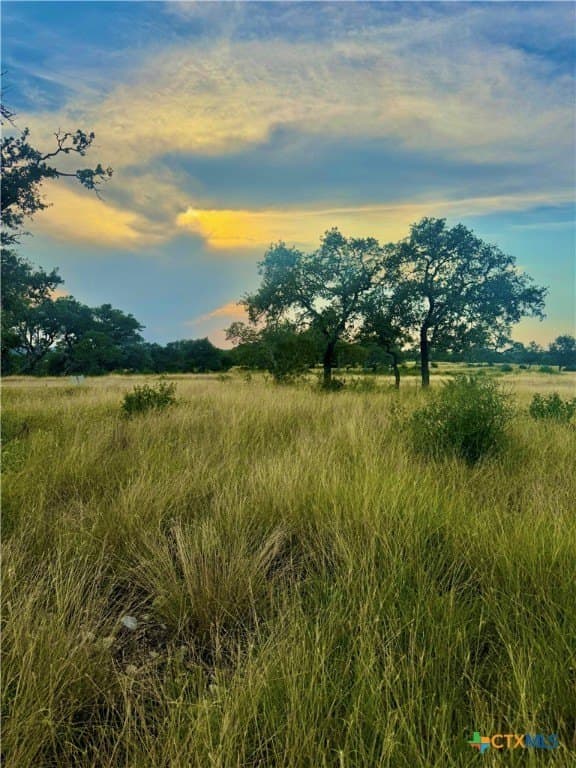 4.13 acres in Gillespie County gallery image 4