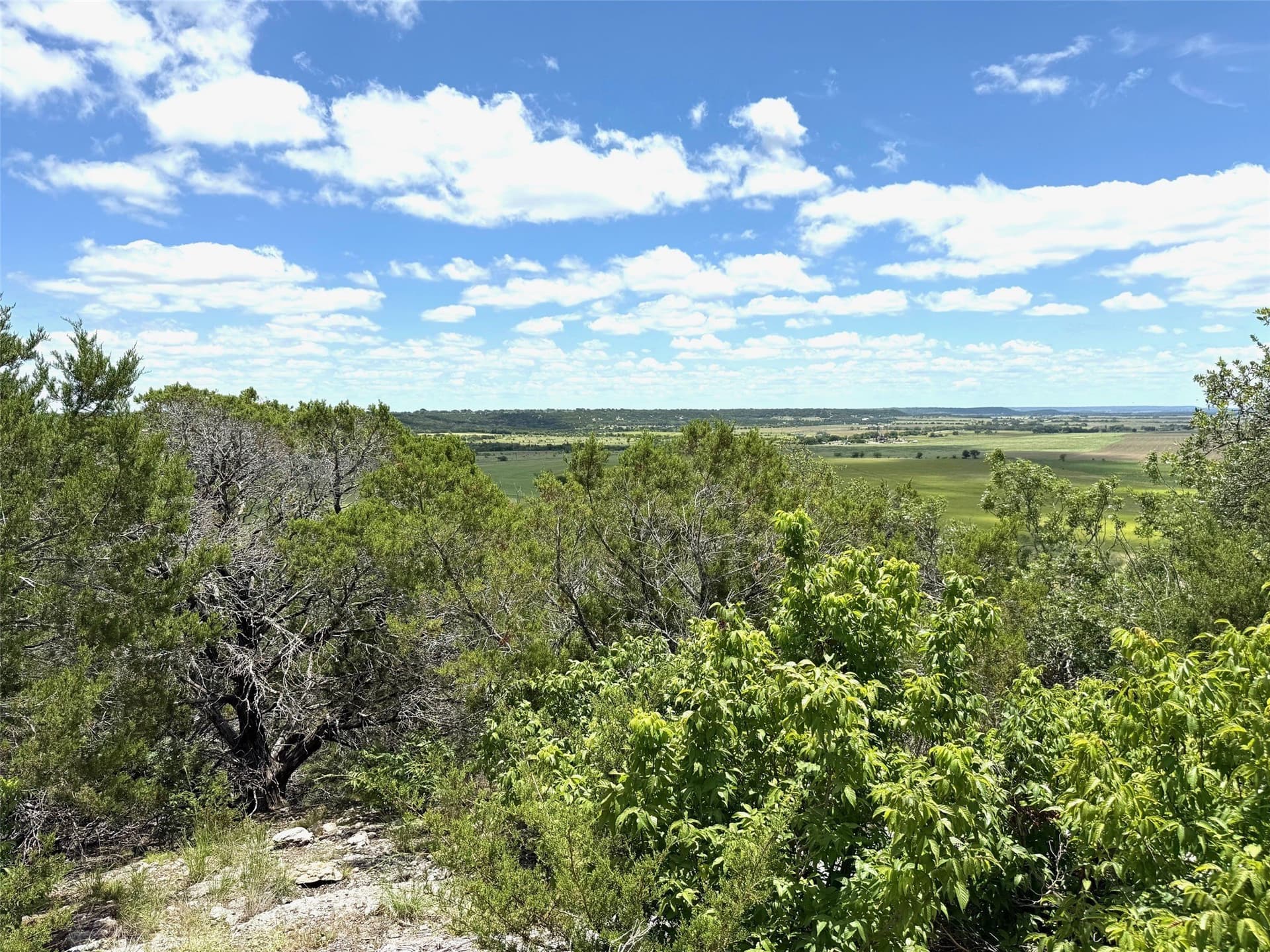 10.01 acres in Hamilton County - photo 3