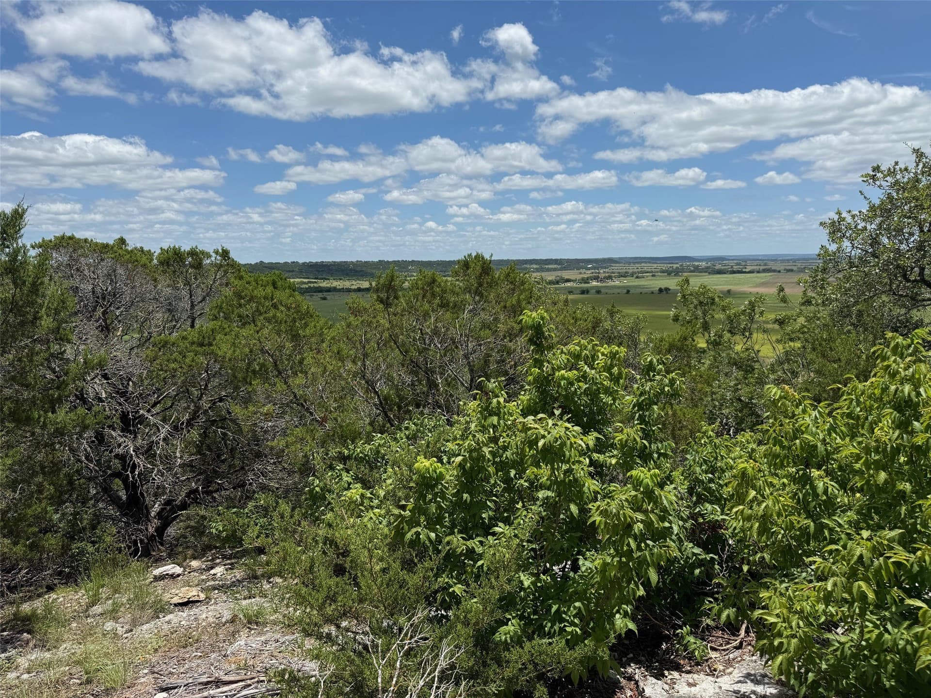 10.01 acres in Hamilton County - photo 17
