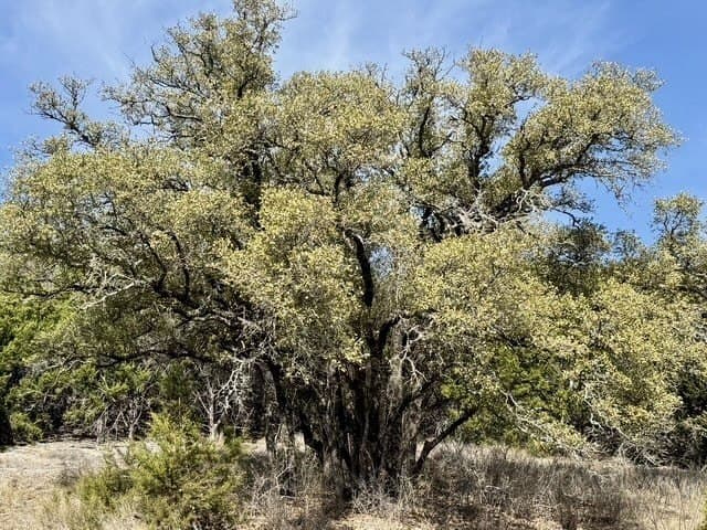 10.01 acres in Hamilton County - photo 14