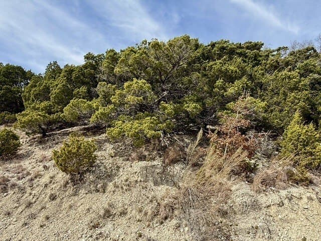 10.01 acres in Hamilton County - photo 8