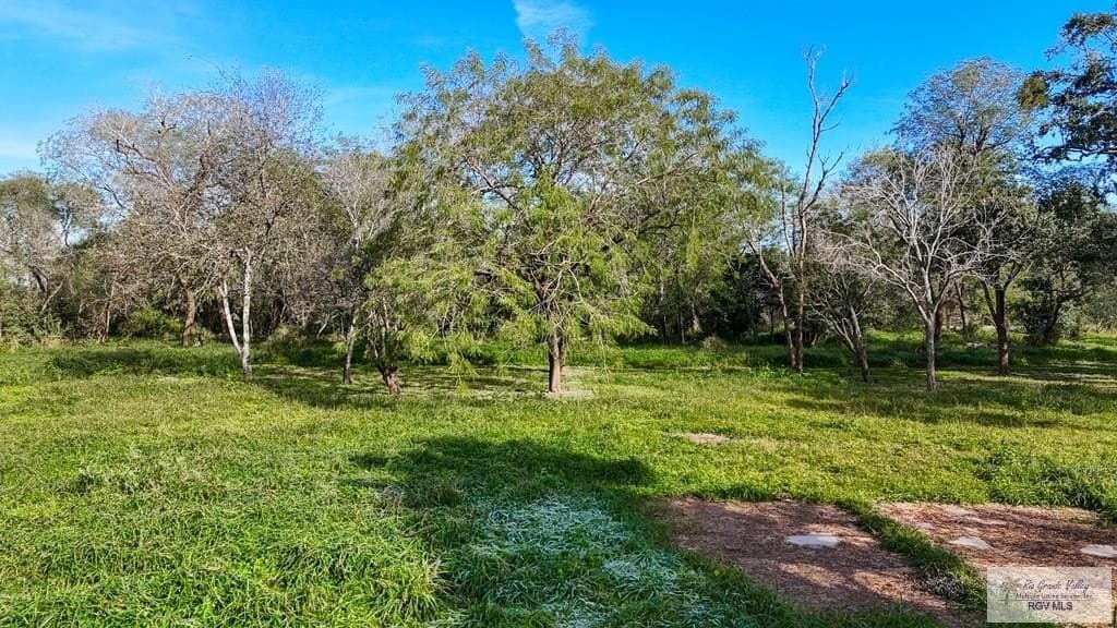 10 acres in CAMERON County gallery image 3