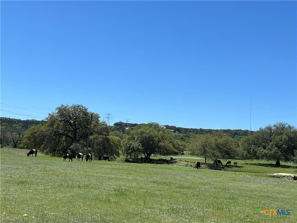 2 acres in Bell County - photo 6