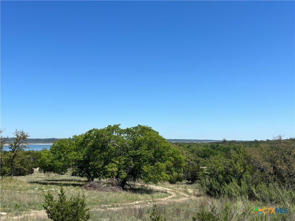 2 acres in Bell County gallery image 4