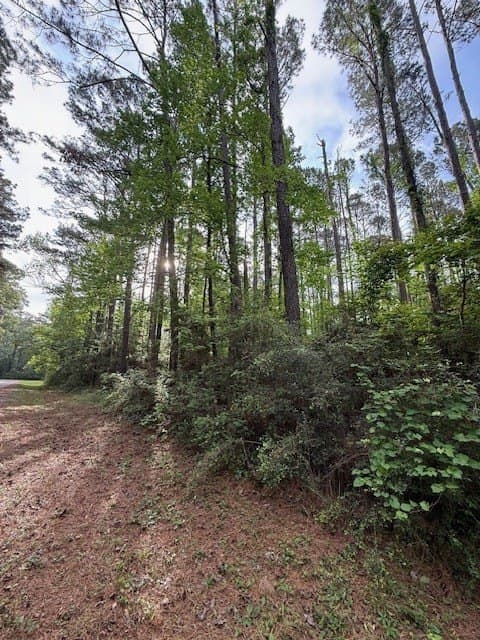 0.28 acres in Texas County gallery image 3