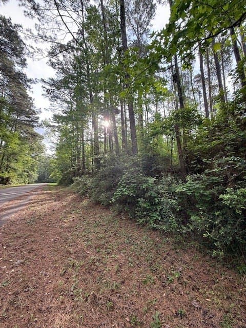 0.28 acres in Texas County gallery image 2