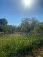 0.3 acres in Wise County gallery image 2