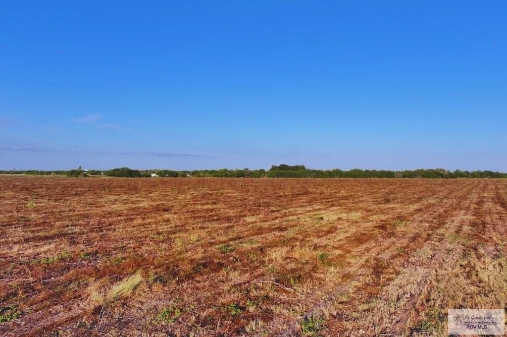 10.03 acres in CAMERON County - photo 6