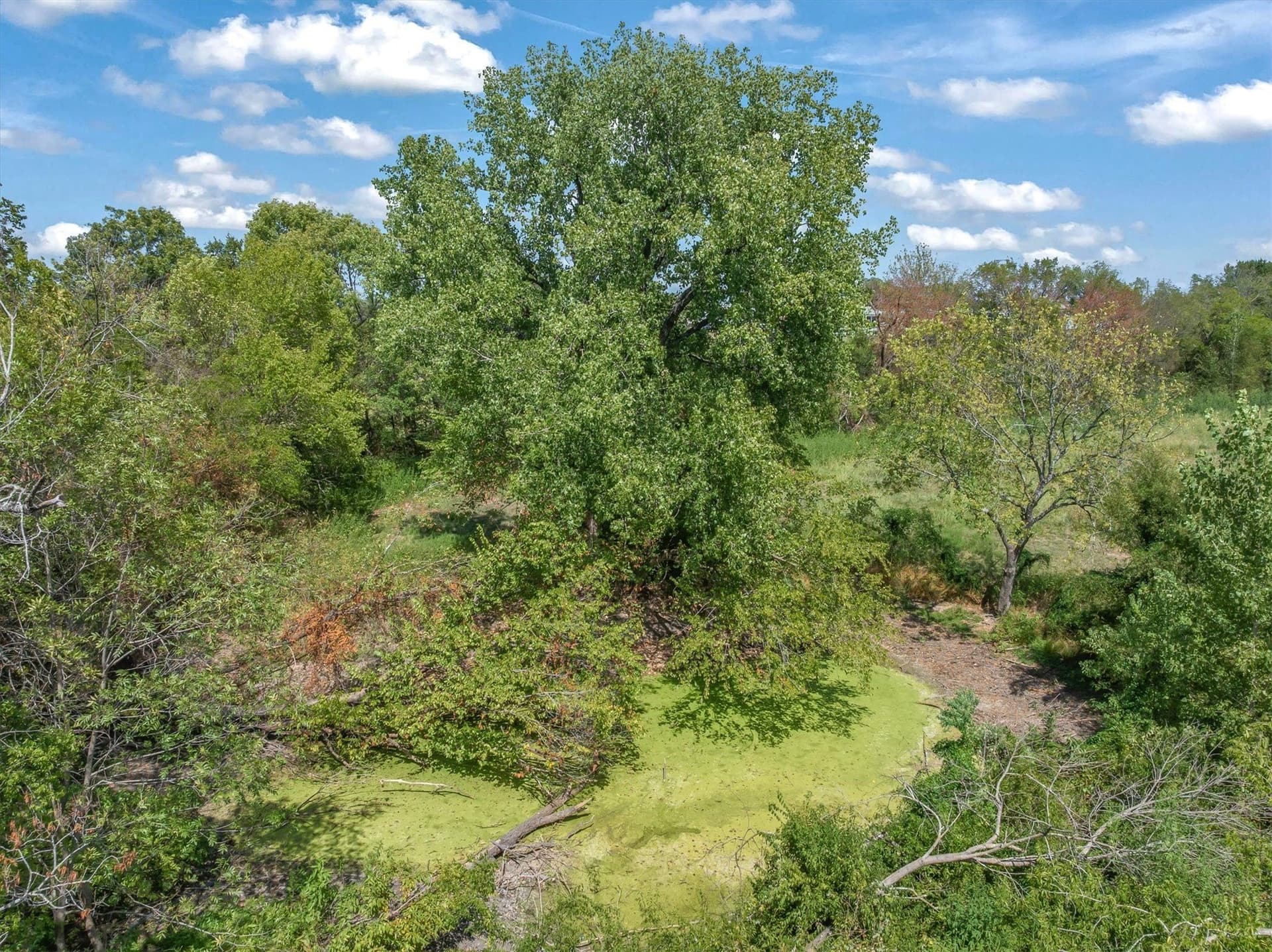 2.53 acres in Van Zandt County - photo 8