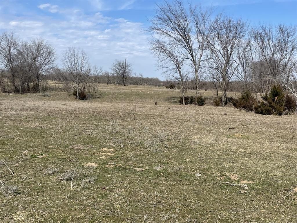 393 acres in Montague County featured view