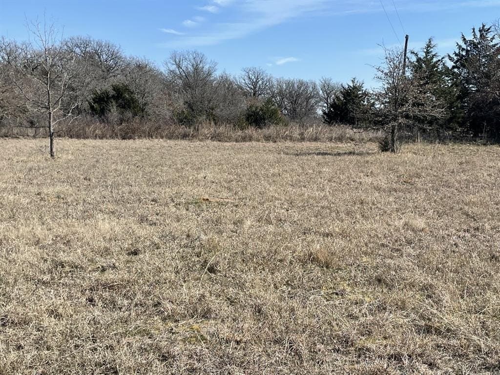 393 acres in Montague County gallery image 3