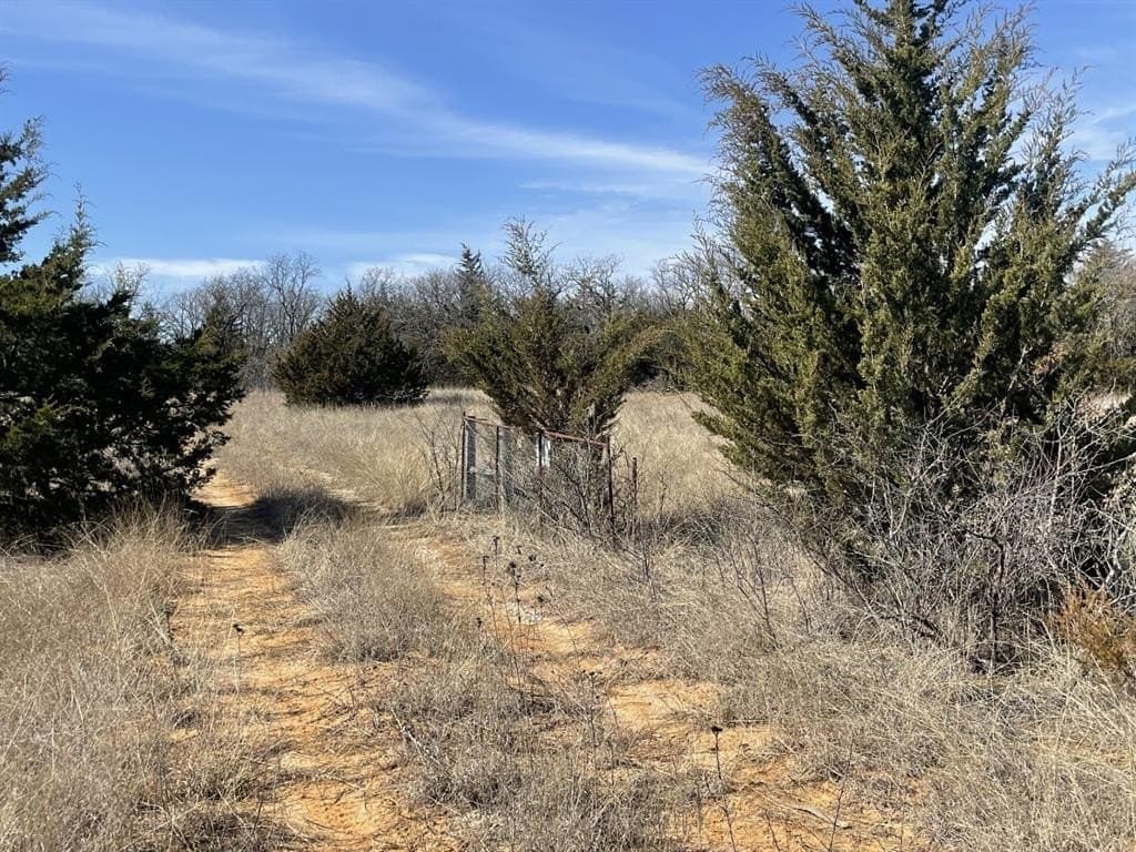 393 acres in Montague County