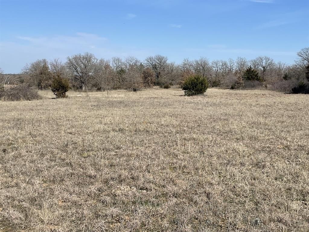 393 acres in Montague County gallery image 2