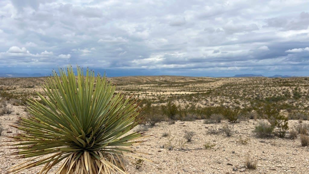 160 acres in Brewster County gallery image 3