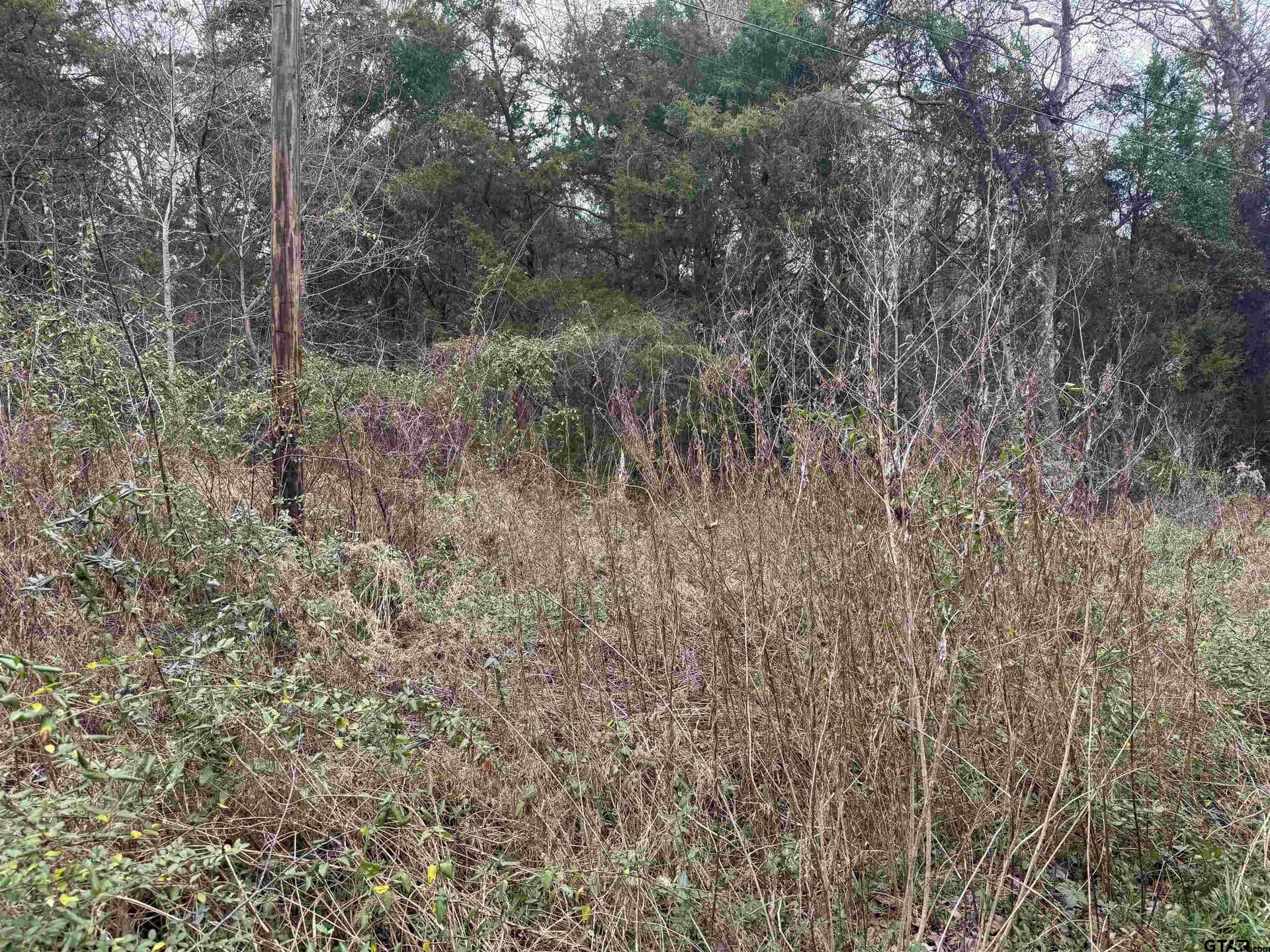 0.41 acres in Cherokee County - photo 8