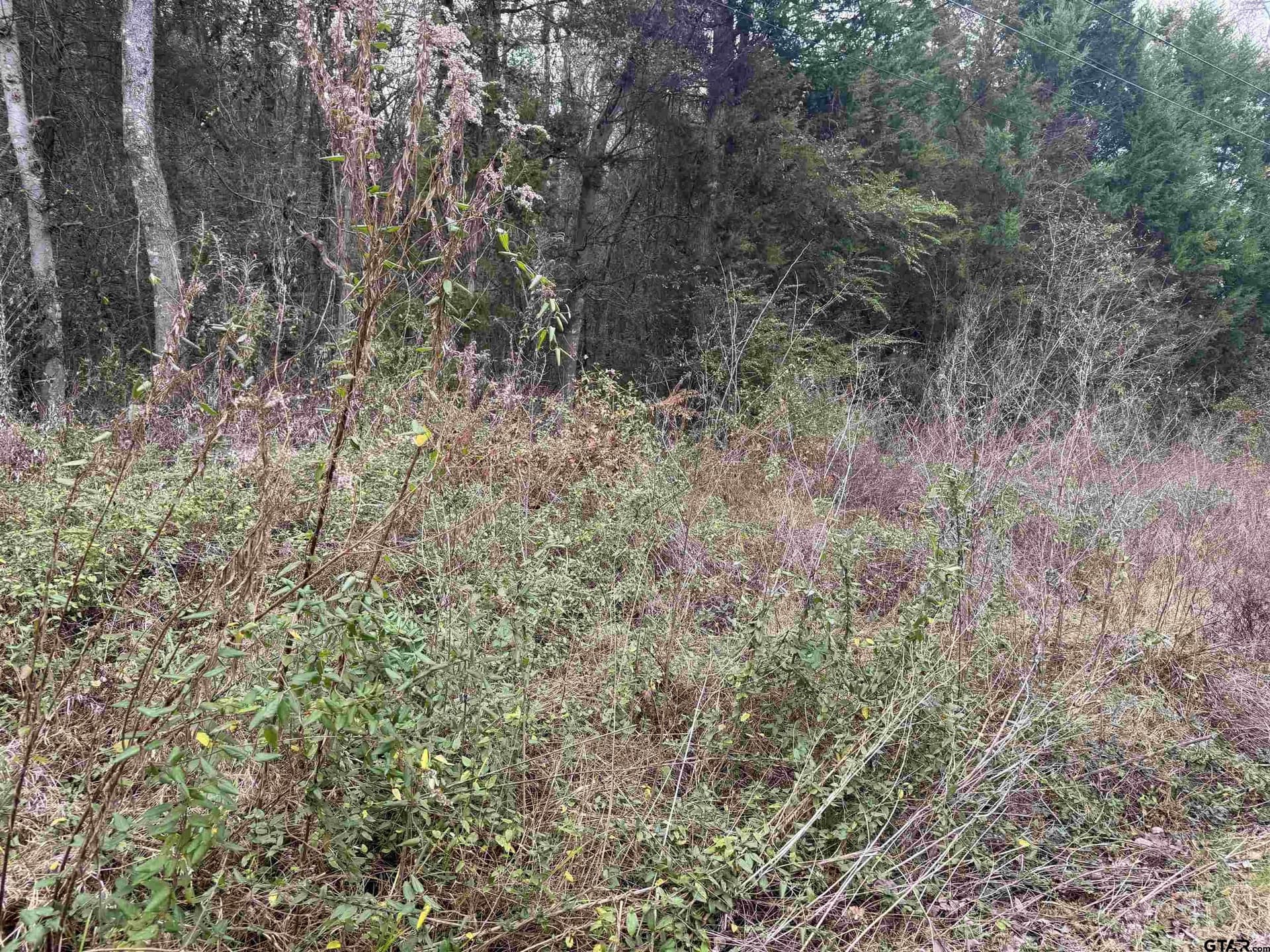 0.41 acres in Cherokee County gallery image 2