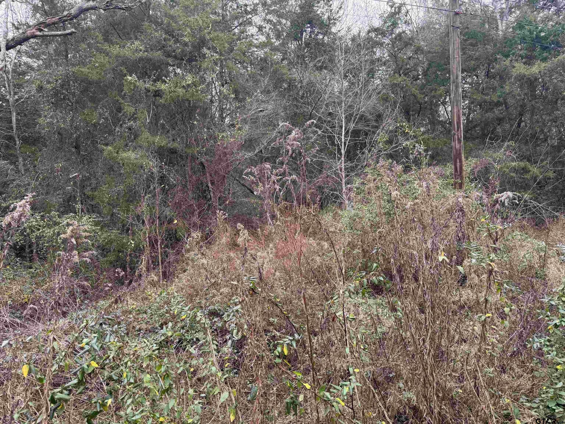 0.41 acres in Cherokee County - photo 6