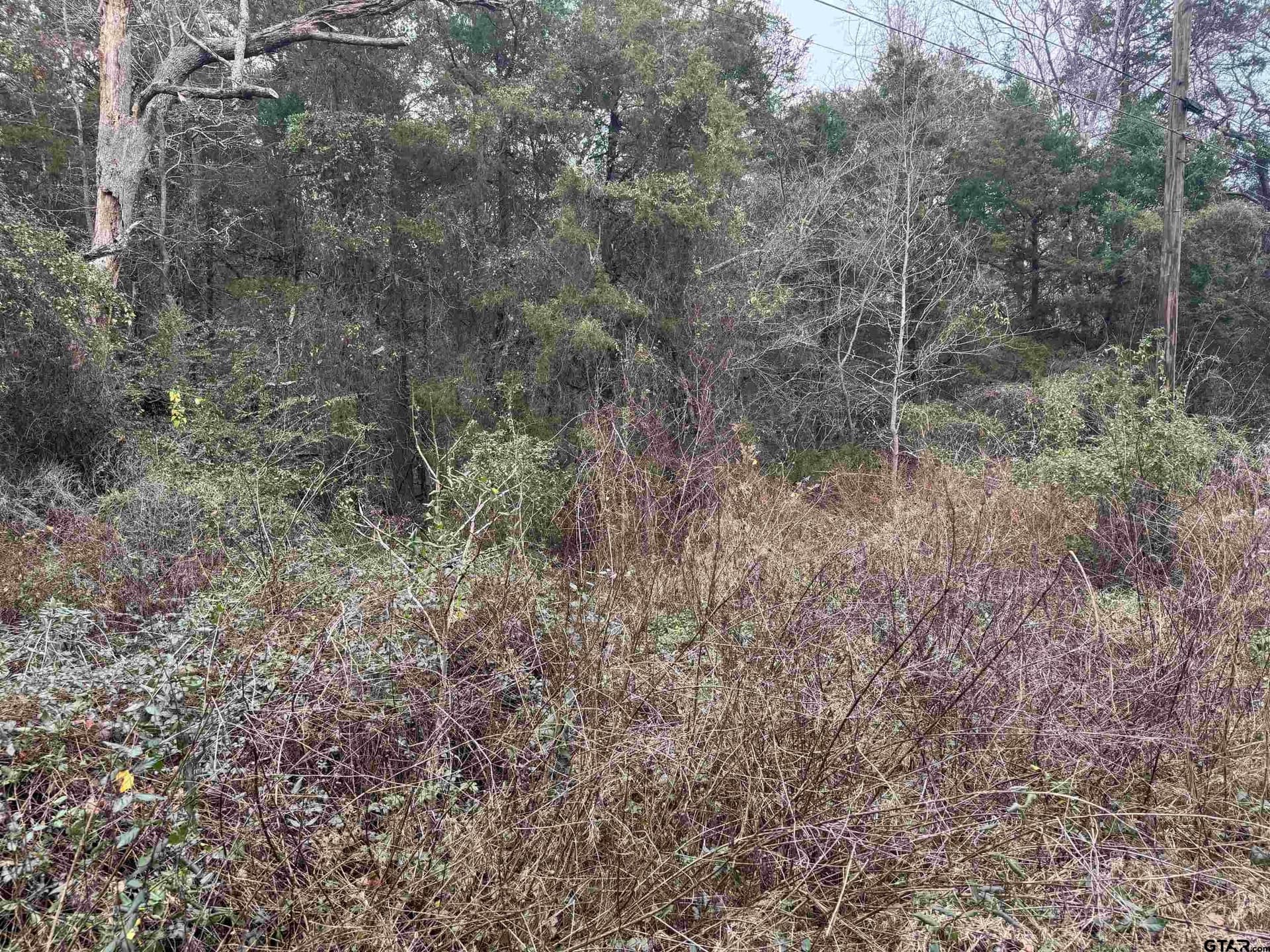 0.41 acres in Cherokee County - photo 9