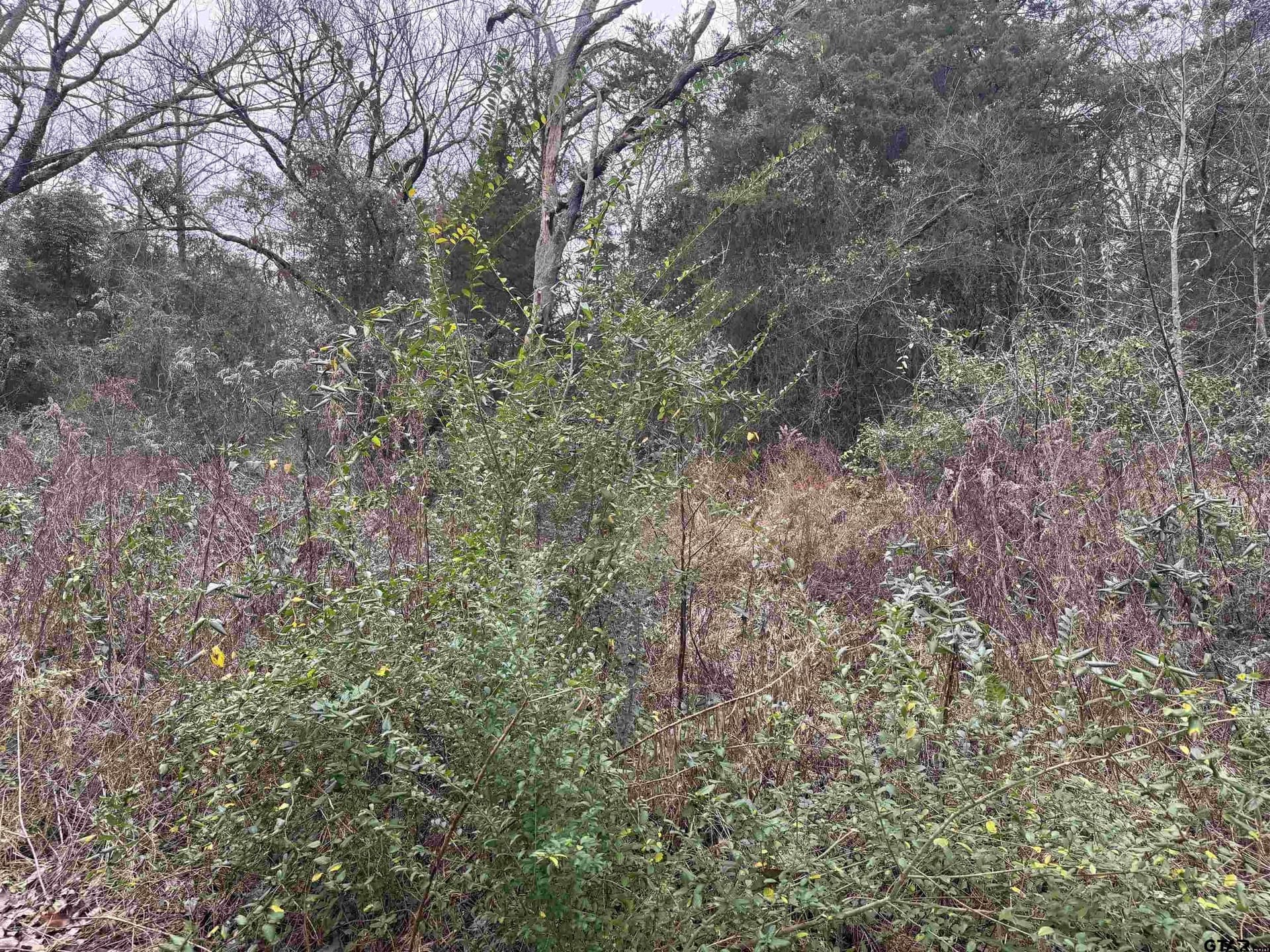 0.41 acres in Cherokee County - photo 7