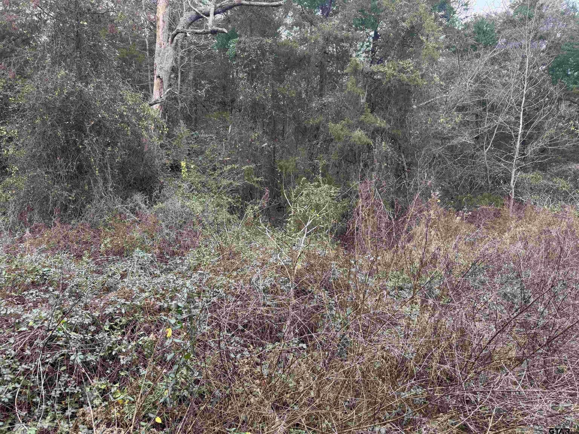 0.41 acres in Cherokee County featured view