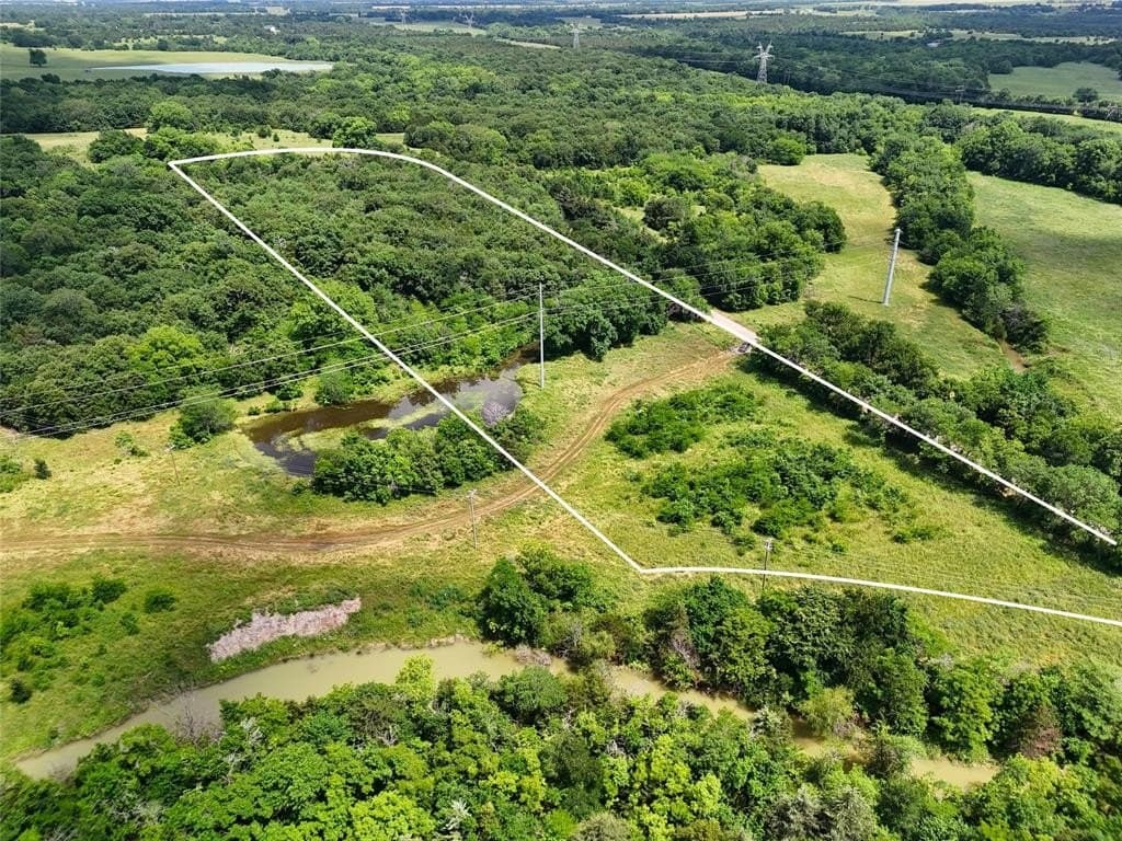 9 acres in Fannin County gallery image 3