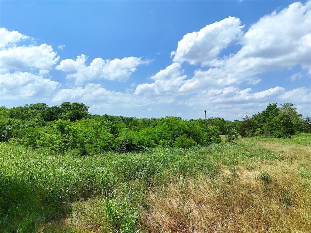 9 acres in Fannin County featured view